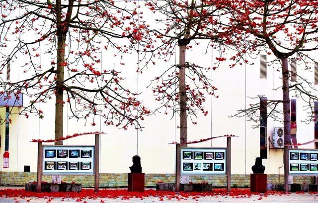 柳州市第十二中学,最美校园柳州市第二中学