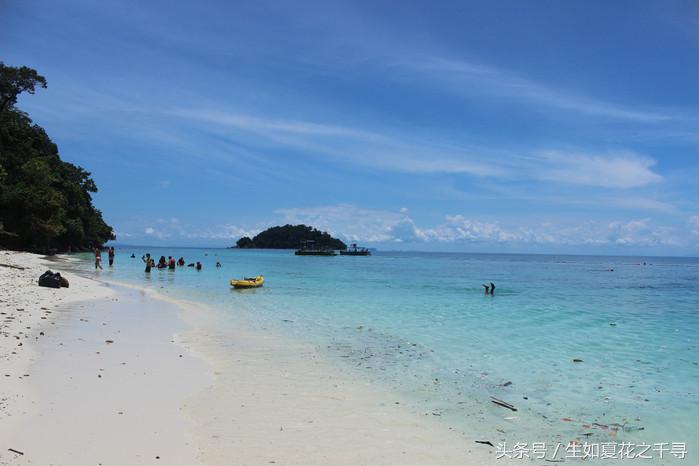 去兰卡威红树林,去兰卡威怎么玩