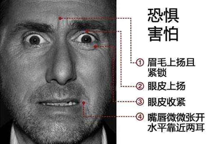 出租房子不放心，如何选择靠谱租客？