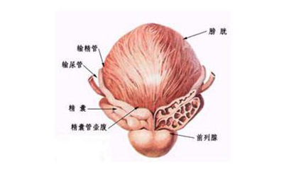 弱激光体外血液净化改善血糖预防糖尿病性膀胱病