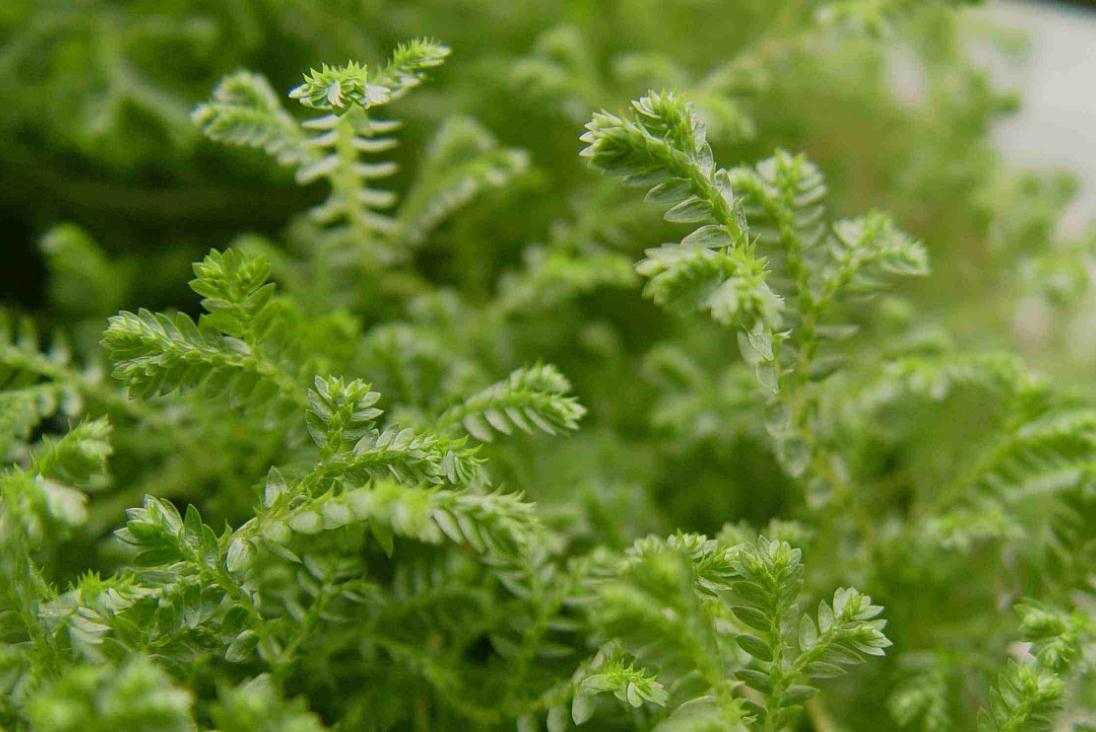 当你一无所有时怎么东山再起,当你一无所有的时候才幡然悔悟