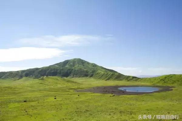 日本九州有哪些旅游景点,日本九州和本州哪里好玩