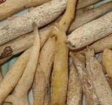 人参怎么选才是好的,都说人参好人参真的有用吗