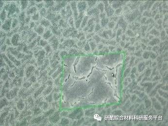 jsm扫描电镜操作流程,jsm扫描电镜