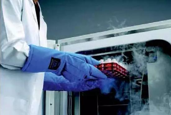 胎盘干细胞储存,胎盘储存干细胞