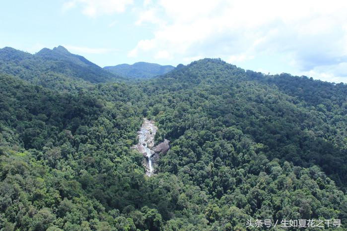 去兰卡威红树林,去兰卡威怎么玩