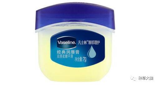 超市购物好物平价推荐,超市都有的好物日用品