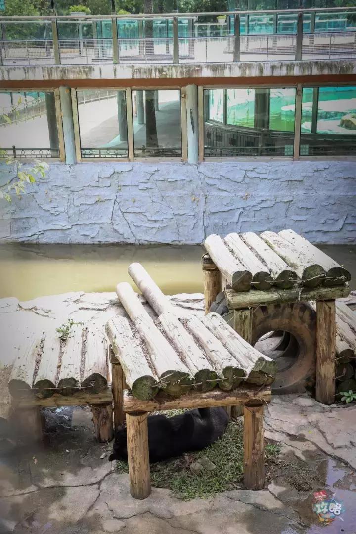 广州动物园的地图,广州动物园下一站去哪里