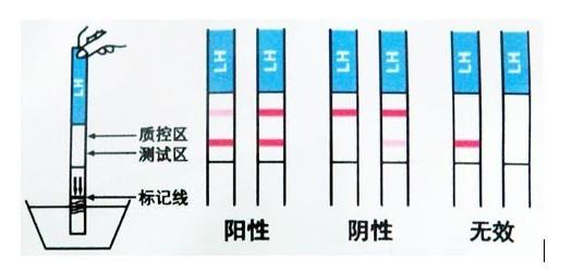 亲爱的，你连这都不懂，再备孕30年也不成！