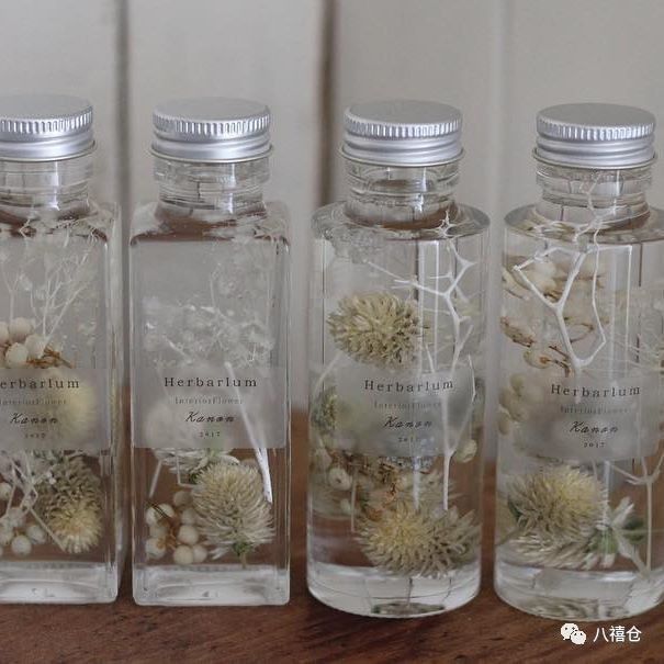 干花的颜色和品种,干花的形态分类