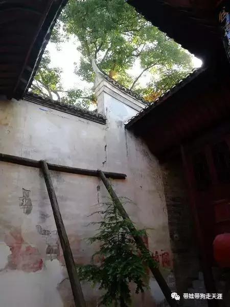 开着房车去遛娃,开着房车带狗狗出去玩