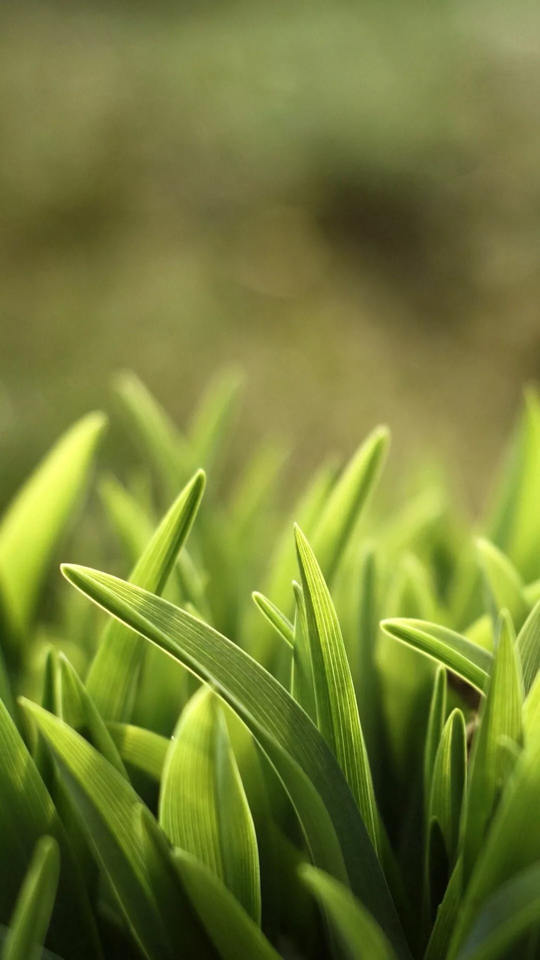 唯美1080×1920P高清壁纸锁屏画面待机背景图！请在wifi环境查看