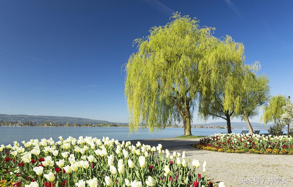 养生|《服气精义论》,发展陶弘景服气疗病思想,简单可行