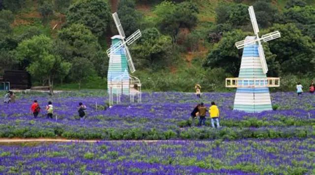 东莞和女生一日游最佳去处,带你们来东莞旅游