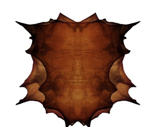 ecco的技术,你想不到的科技创新感