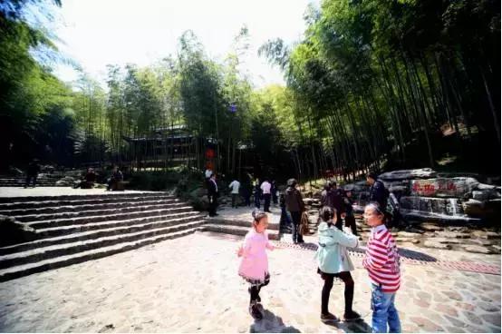 最新宜兴竹海旅游攻略分享,宜兴竹海最佳旅游季节
