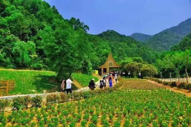 广州出发去越南旅游攻略,广州出发越南哪里好玩