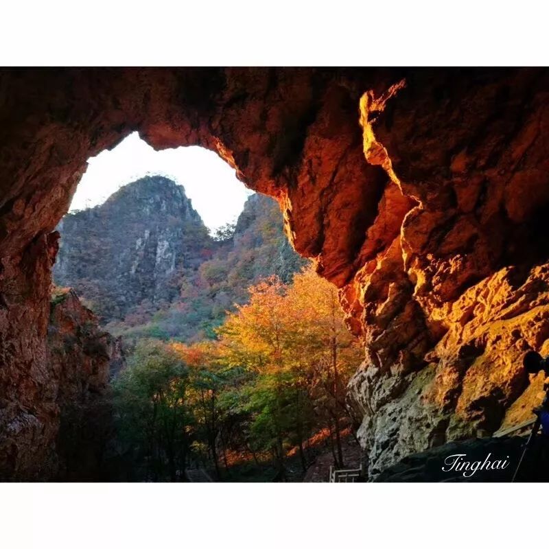 新鲜出炉~赏枫HOT！百名摄影家齐聚庄河天门山