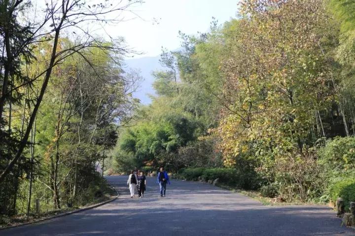 最新宜兴竹海旅游攻略分享,宜兴竹海最佳旅游季节