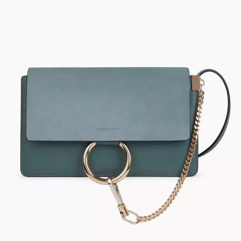 刘雯背的新款包是什么品牌,刘雯背过的一款蔻驰的包包