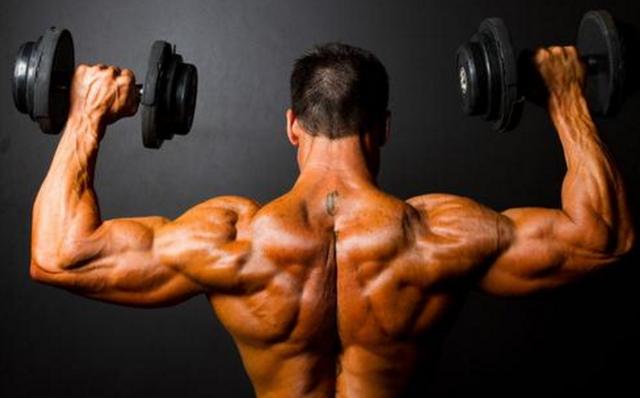 多角度全程移动背部训练：6个动作充分刺激激活背部肌群