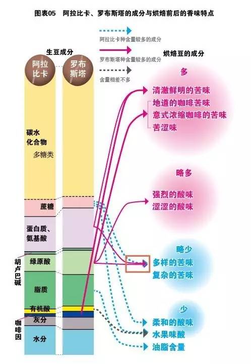 咖啡罗布斯塔口感介绍,喝罗布斯塔咖啡的感受