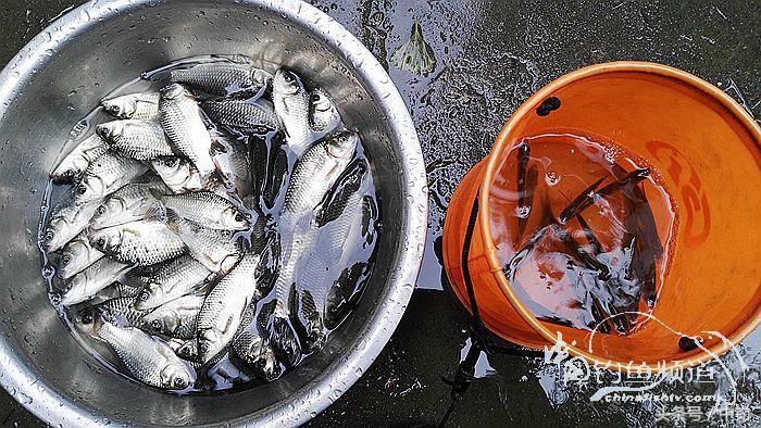 钓鱼之西部风情