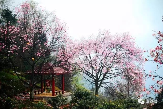 成都到九寨沟黄龙小环线,九寨沟黄龙世界自然遗产