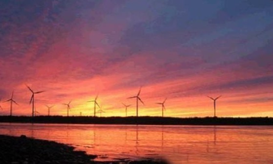 海南恋爱,谈恋爱海南