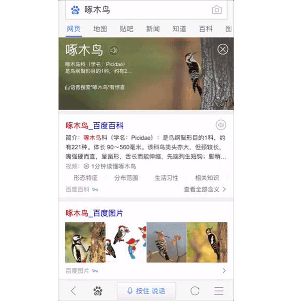 百度贴吧被封禁如何解封,百度违规贴吧怎么解封