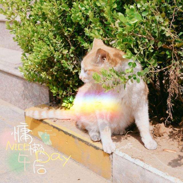 超好用的美颜软件,十大惊艳黑科技app