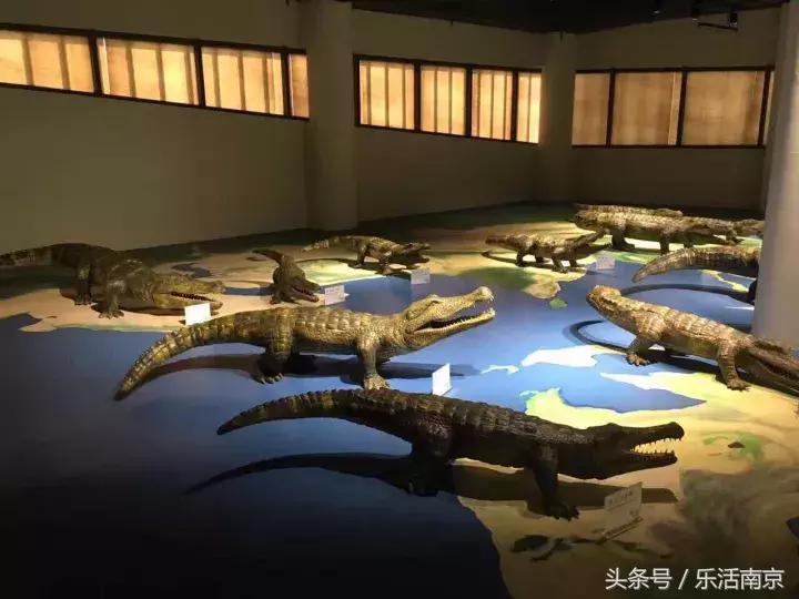 南京最值得去的10家温泉圣地，约泡吗？