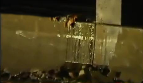 20个触目惊心的车祸现场,各种令人发指的车祸现场