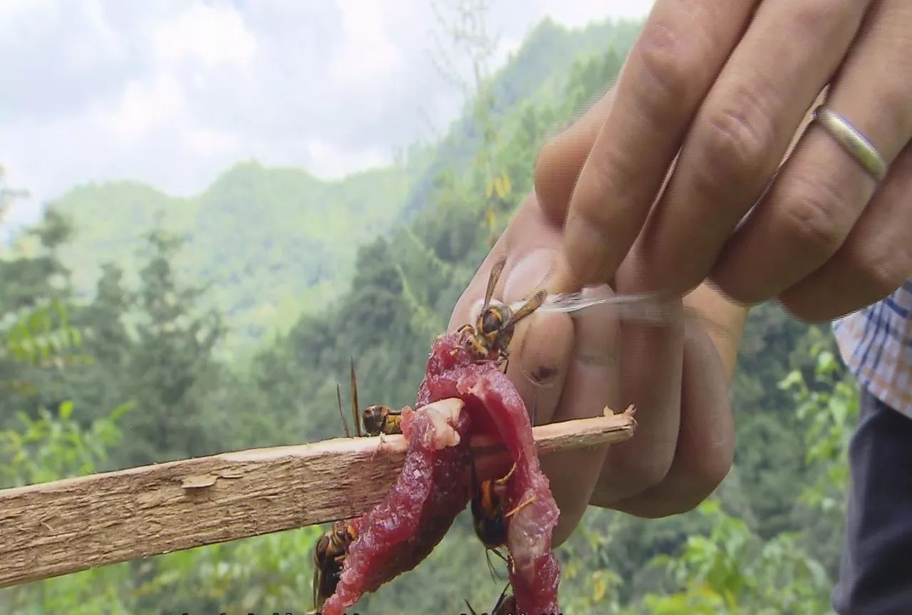 小伙伴们准备好了吗配音,小伙伴们准备好了吗语音