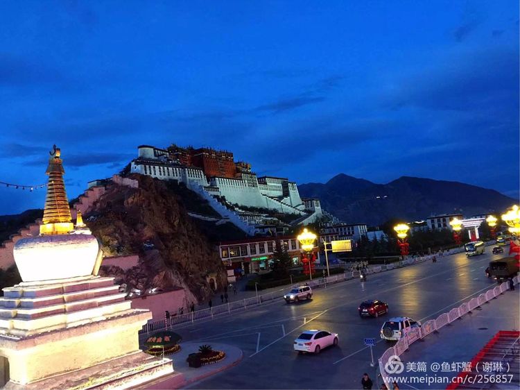 只要能去*藏西**,头痛高反什么的都不care