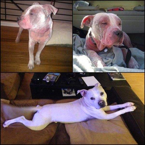 超级搞笑图片二十张不信你不笑,搞笑的图片笑到肚子痛