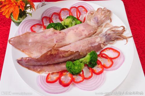 乌贼鱿鱼八爪鱼章鱼有什么区别,章鱼八爪鱼鱿鱼墨鱼乌贼怎么区分