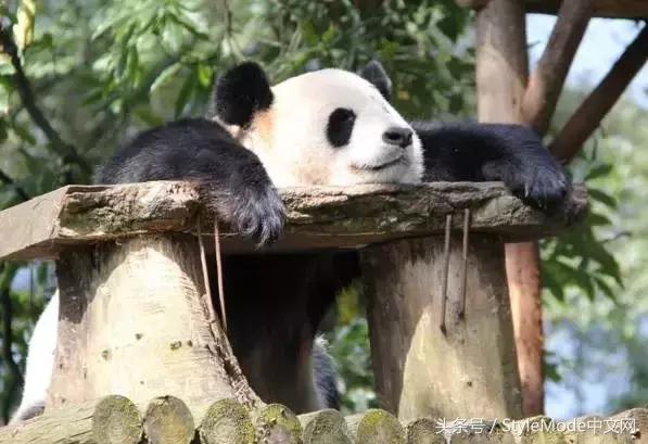 据说只要看到这双“雪地靴”，姑娘们都会挪不动脚！