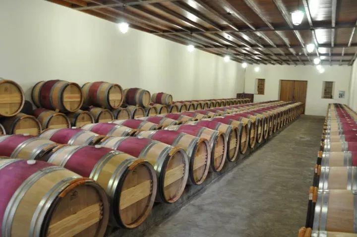 无冕之王柏图斯，波尔多最贵的葡萄酒是怎样炼成的？