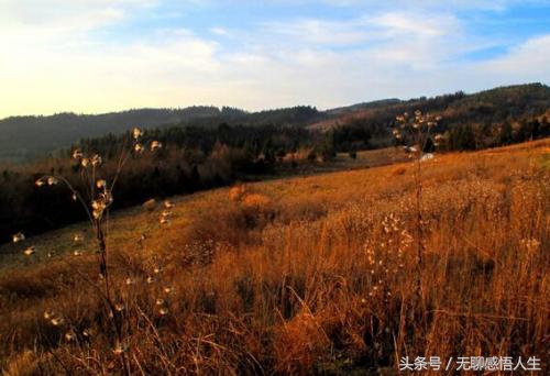 中国县域介绍——湖北省恩施土家族苗族自治州巴东县