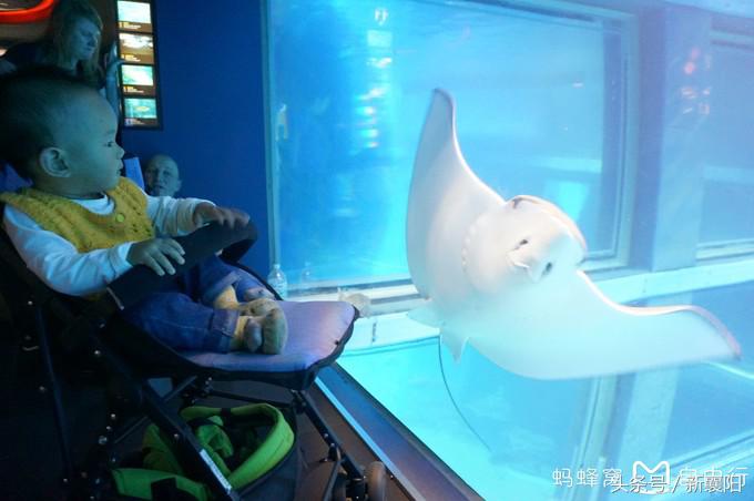 带娃去日本一周自由行,带四岁孩子去日本穷游攻略