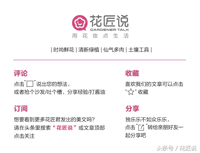 如何长好发财竹,贵竹养得翠绿欲滴亦象征着财运旺