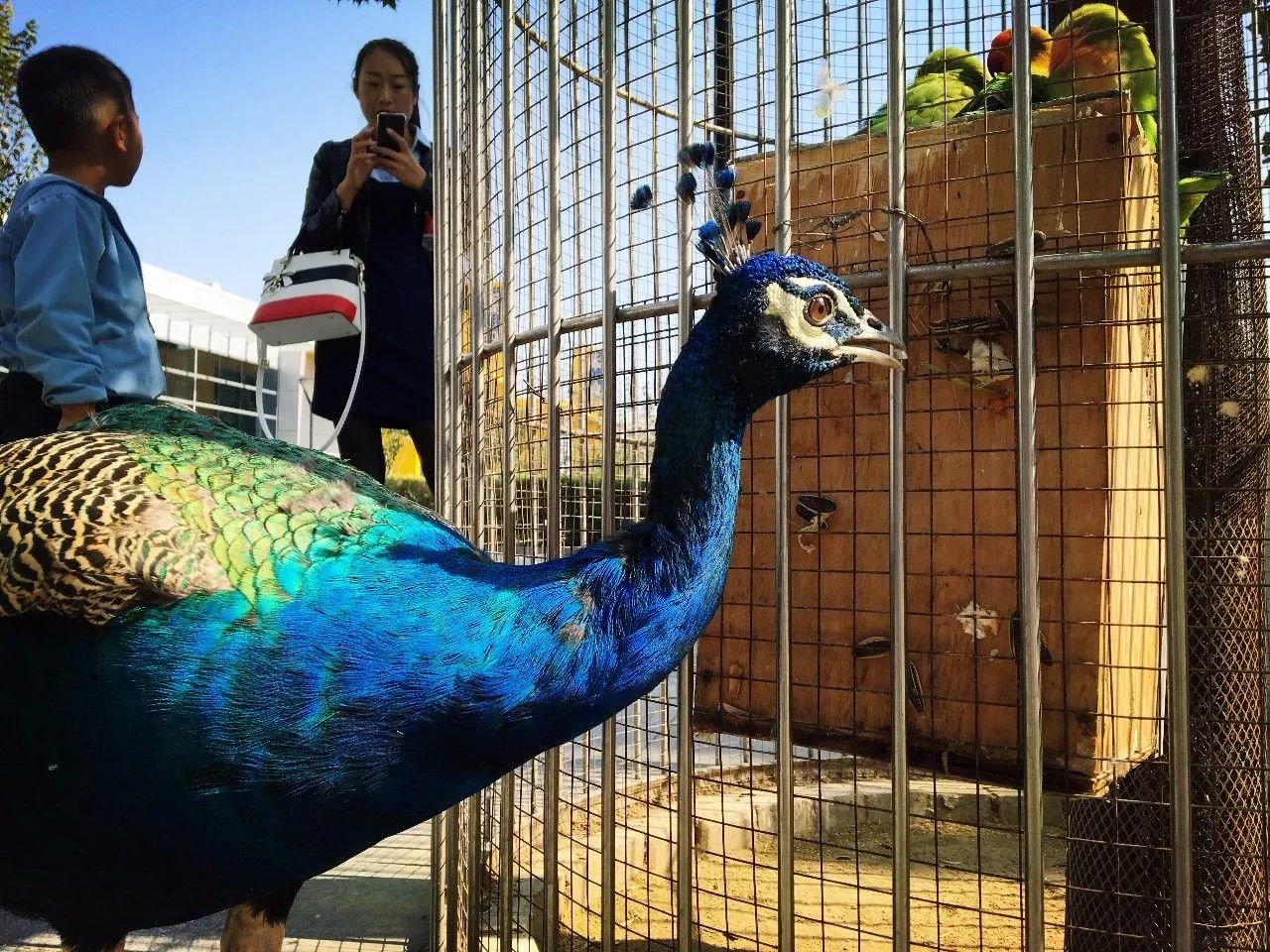 北京最高端驾校,北京性价比最高的驾校