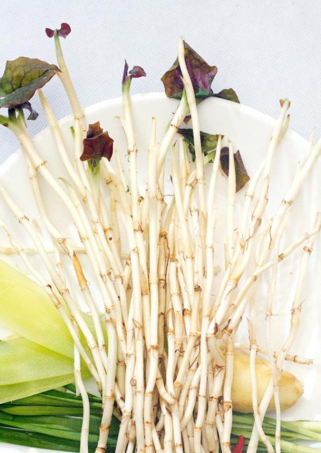 网评最难吃的蔬菜鱼腥草其实是女性健康的福音