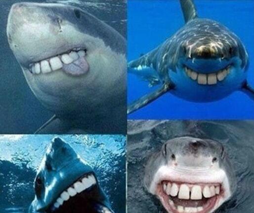 天天开心10则：人，要是没钱了！（句句入骨）