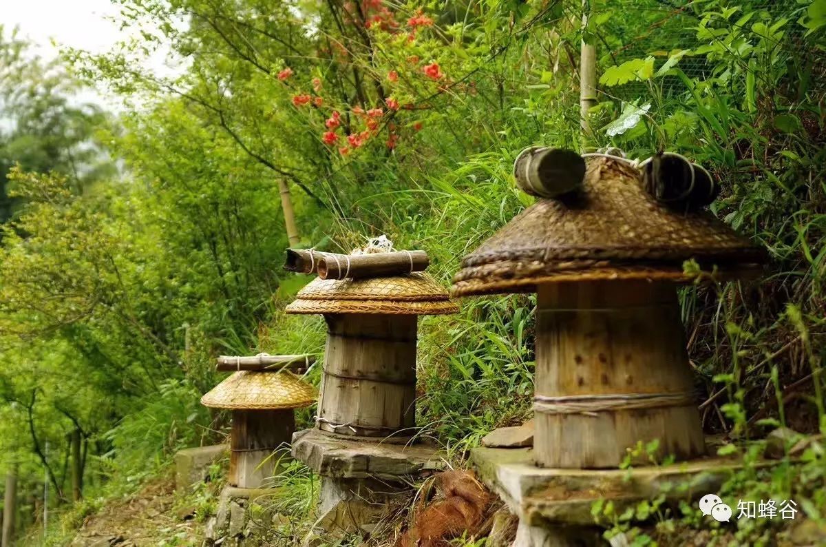 鍐滃铚傝湝娑﹁偤姝㈠挸,瀹㈠姝㈠挸铚傝湝