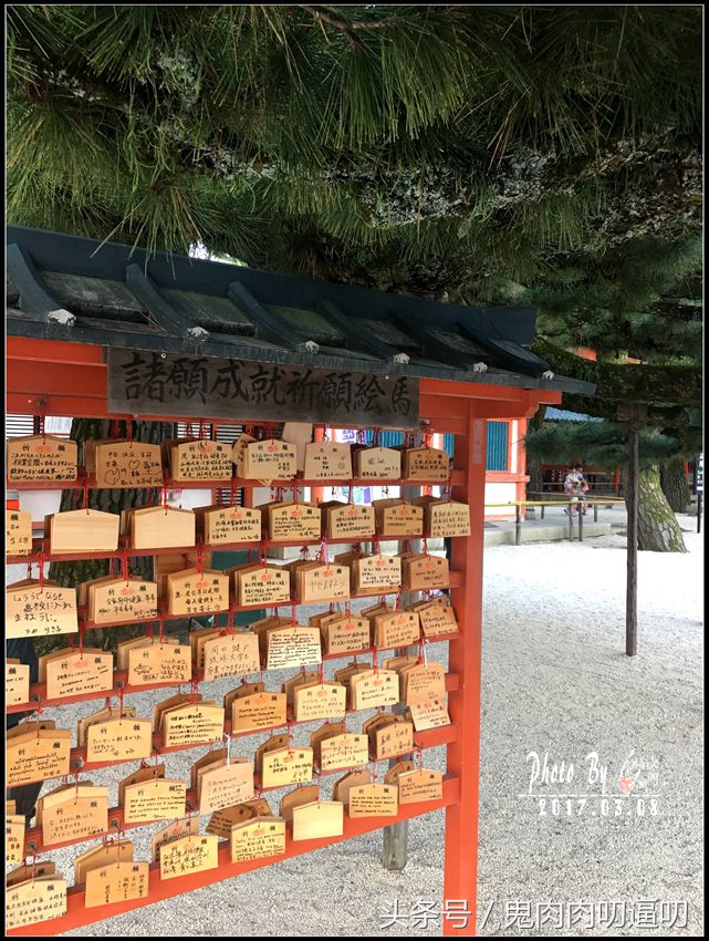 日本第一站飞大阪还是飞东京好,来日本第一个景点
