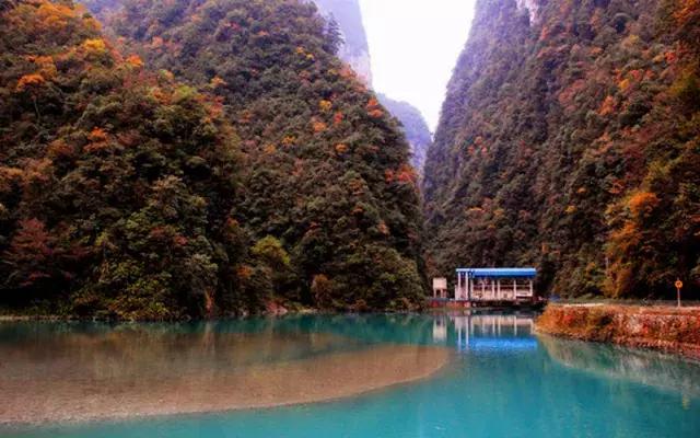 四川看红叶最佳地方自驾游,四川彩林红叶最佳观赏地点