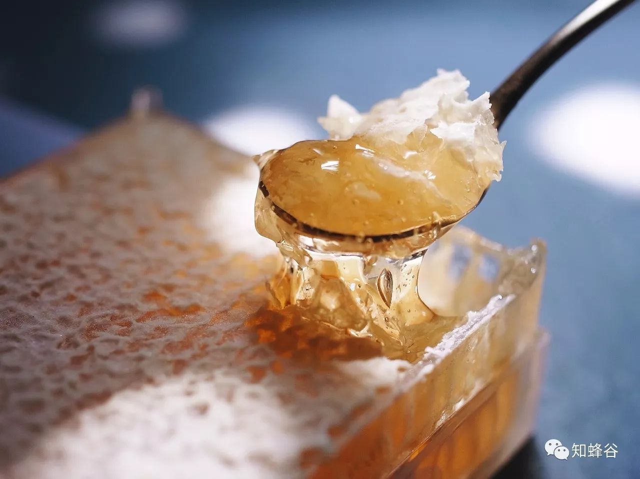 鍐滃铚傝湝娑﹁偤姝㈠挸,瀹㈠姝㈠挸铚傝湝