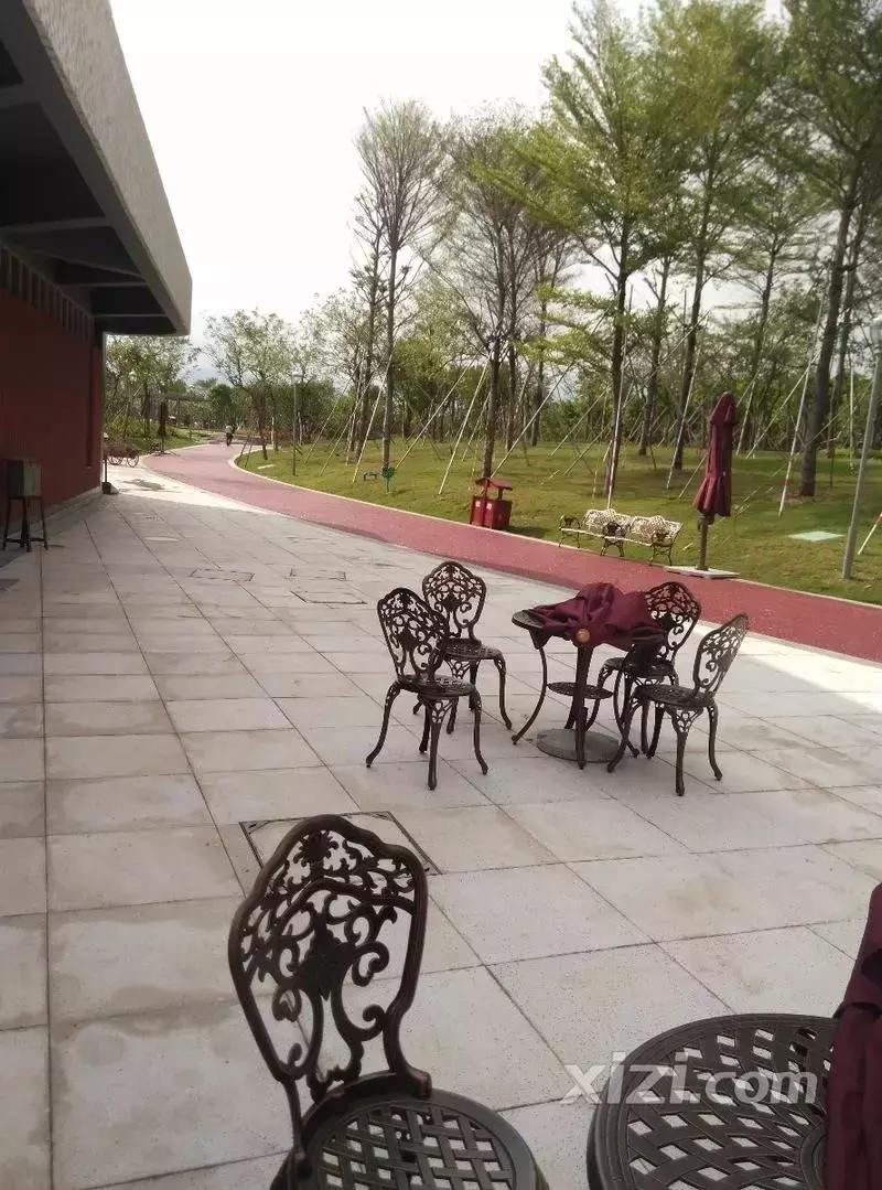 升级黄金海岸,黄金海岸加强版